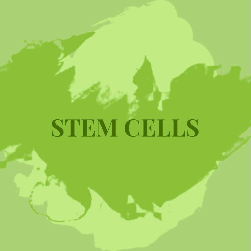 Stem Cells green